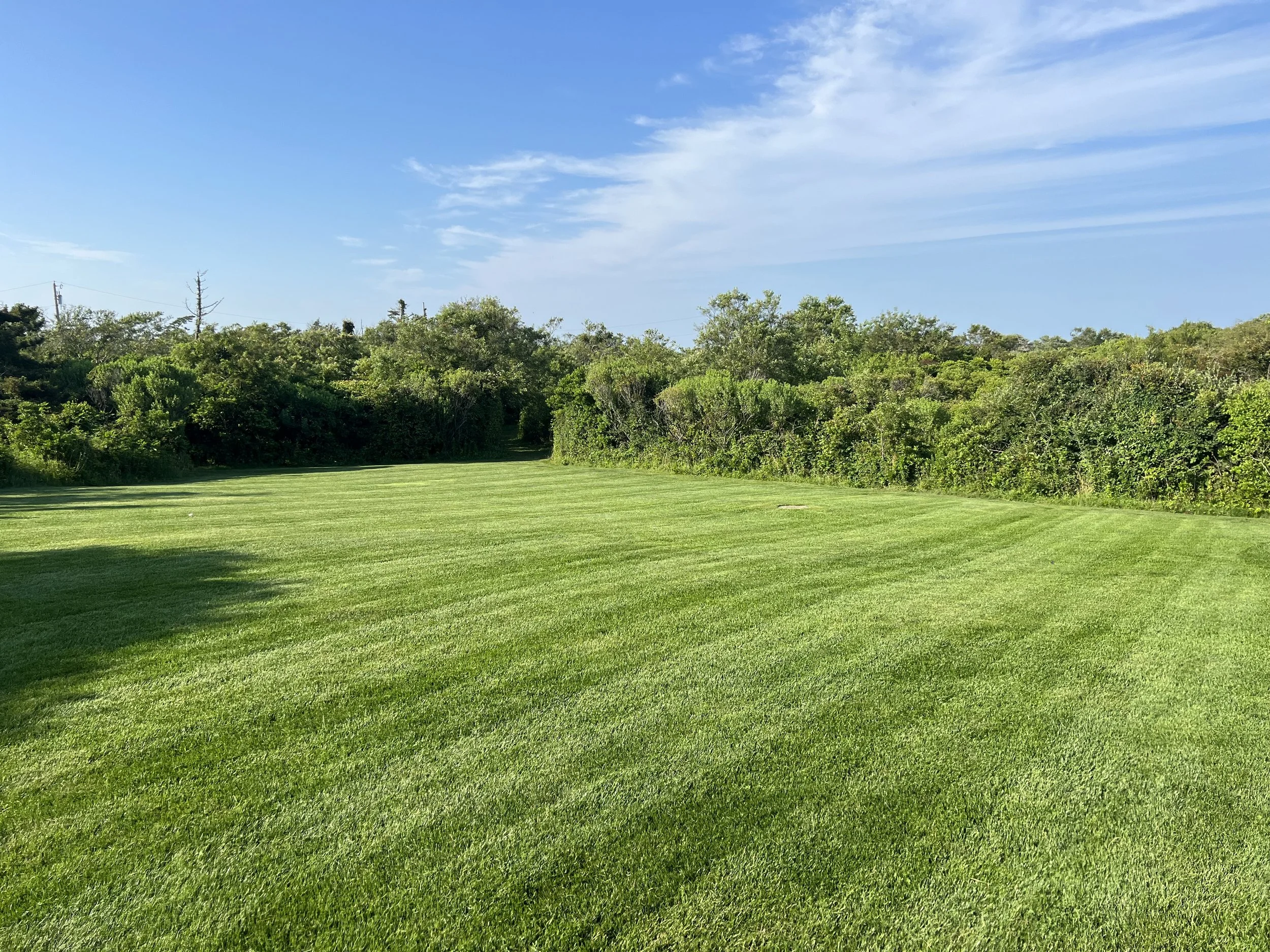 Professional lawn striping