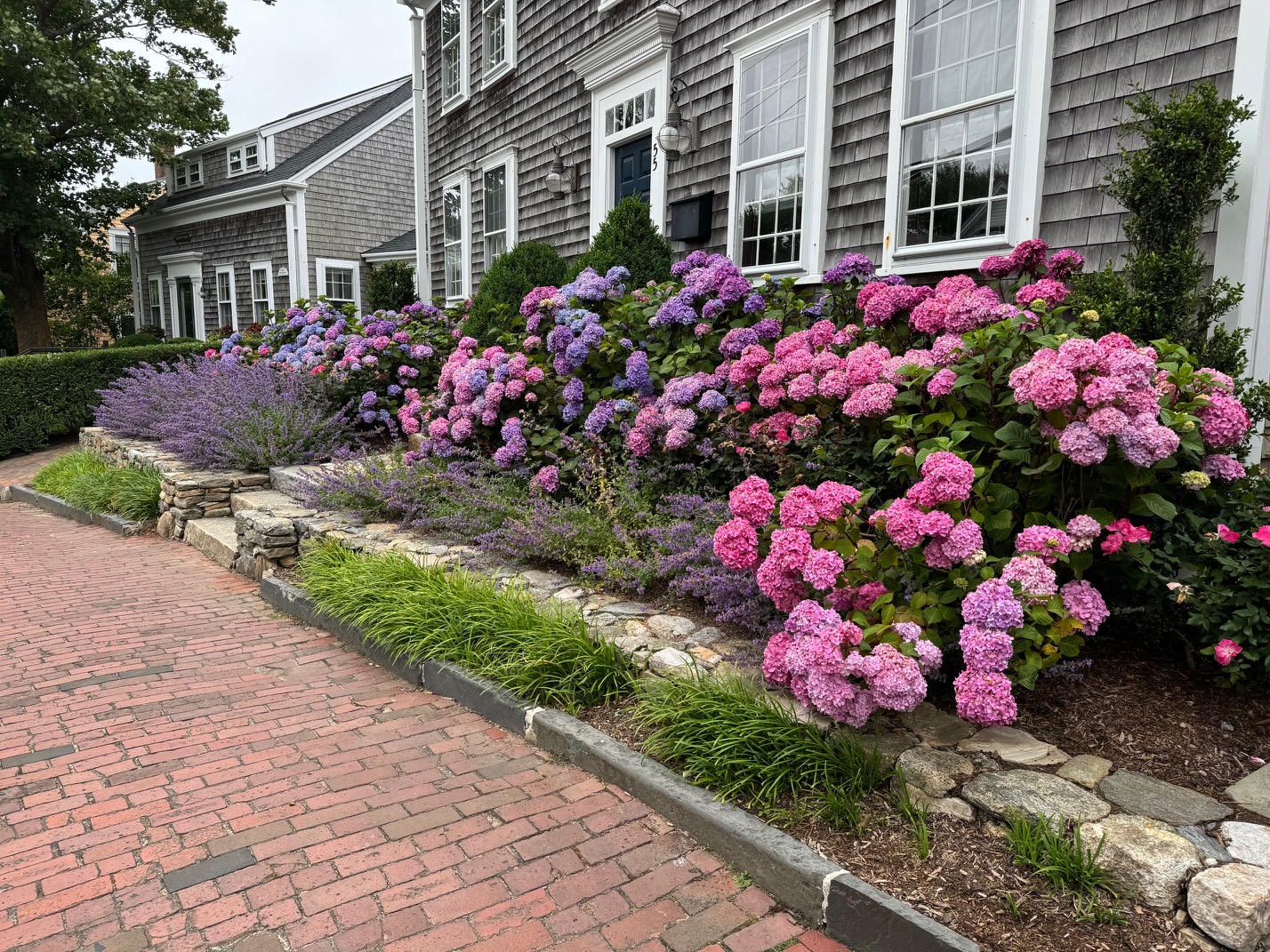 Pink hydrangeas with lavender