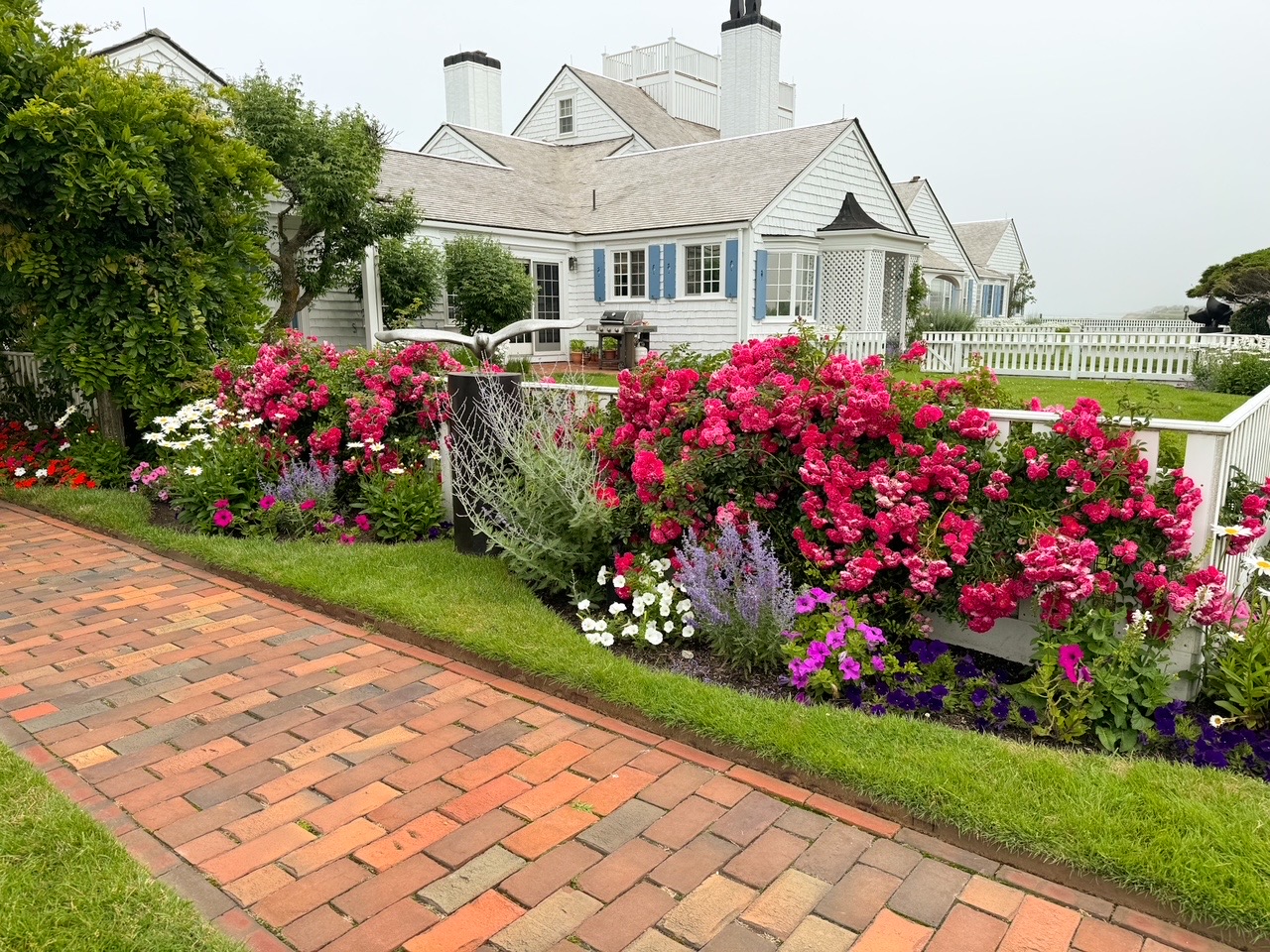 Rose garden at estate