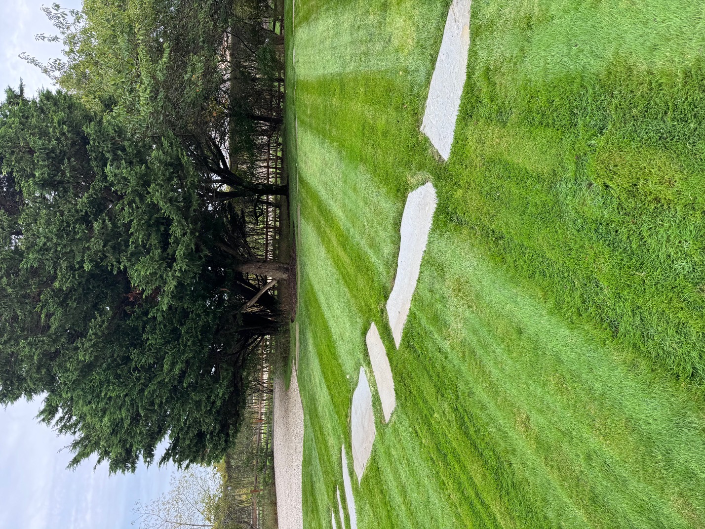 Lawn with stepping stones