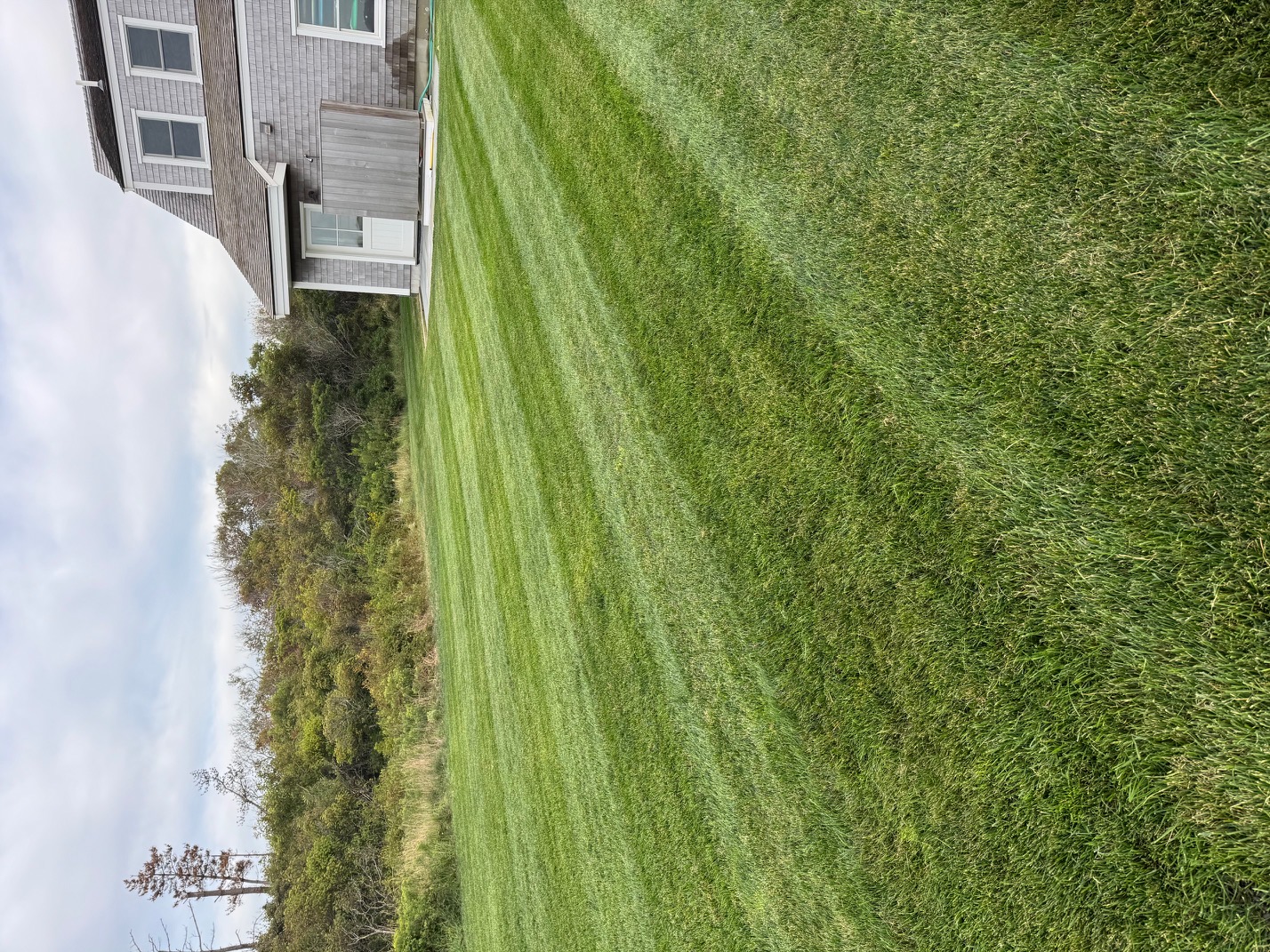 Professional striping pattern