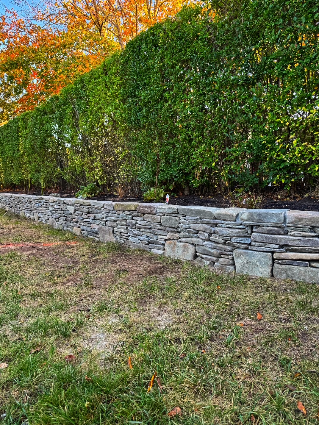 Retaining wall with hedge