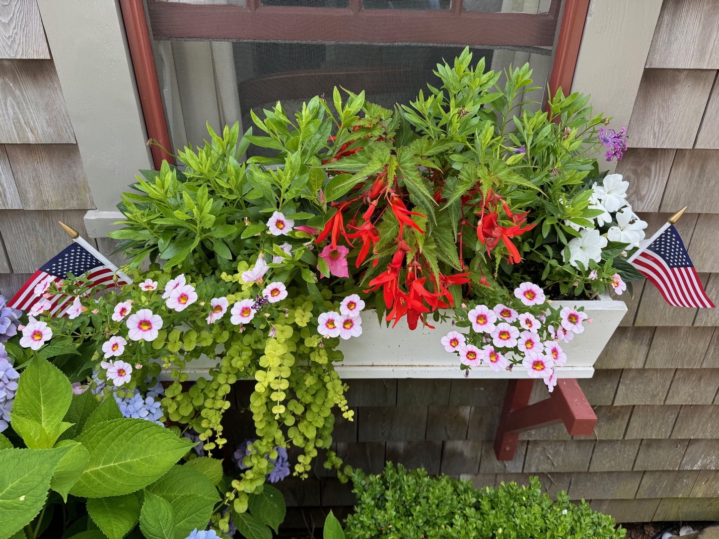Window box with American flags